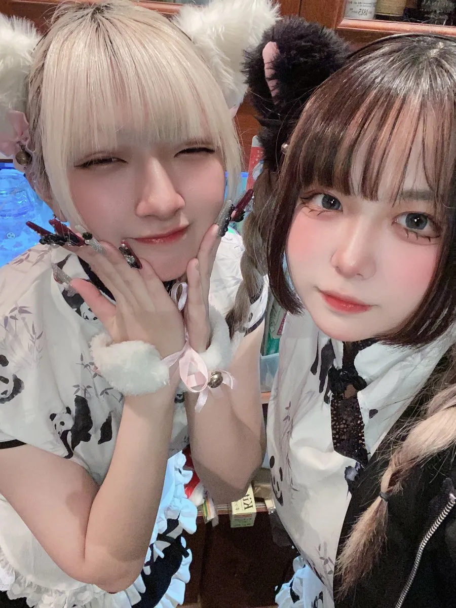 チャイニャコンカフェ桃猫堂 新宿歌舞伎町@コンカフェ最大手@momonekodou001