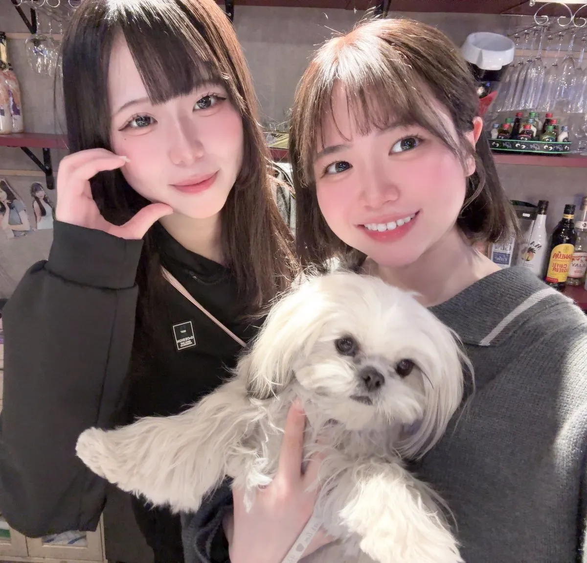 🎀あいまいみーまいん🎀@imymemine_2020