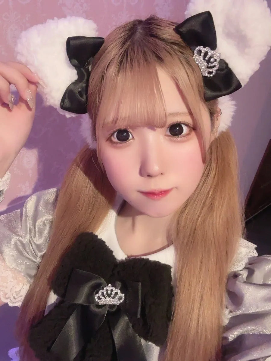 MaineCoon『メインクーン』秋葉原コンカフェ@MaineCoon_nyao_