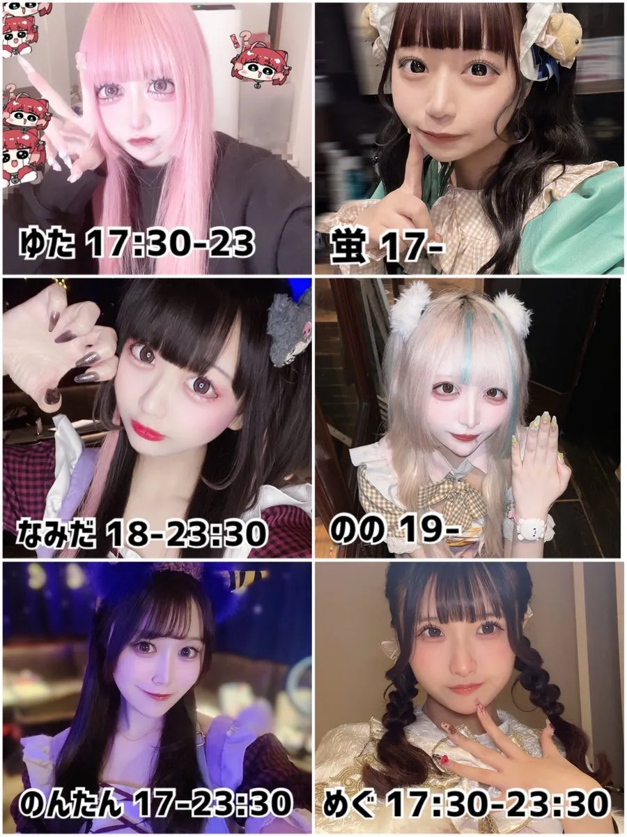 Starry Paradise@StarryParadise_