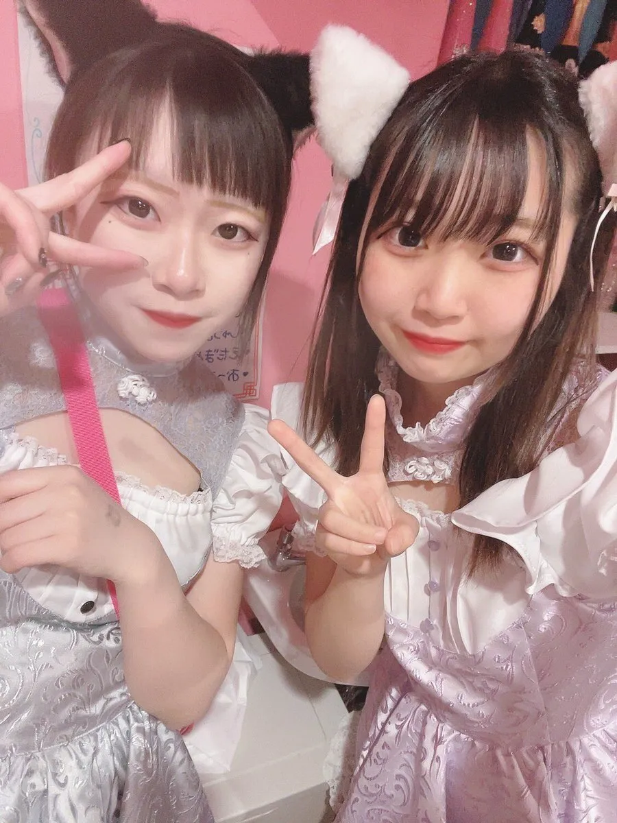 桃猫堂秋葉原店🐾コンカフェ最大手✴️@momonekodou002