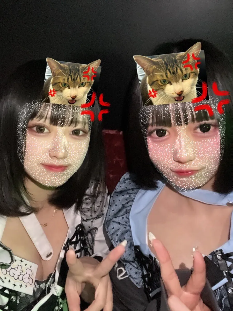 【秋葉原コンカフェ】あるこほりっく(16:00〜25:00)@alcoholic_akiba